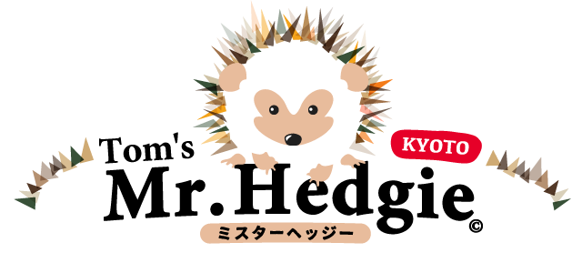 Tom's Mr.Hedgie