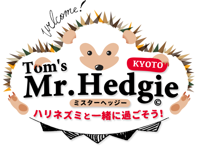 Tom's Mr.Hedgie