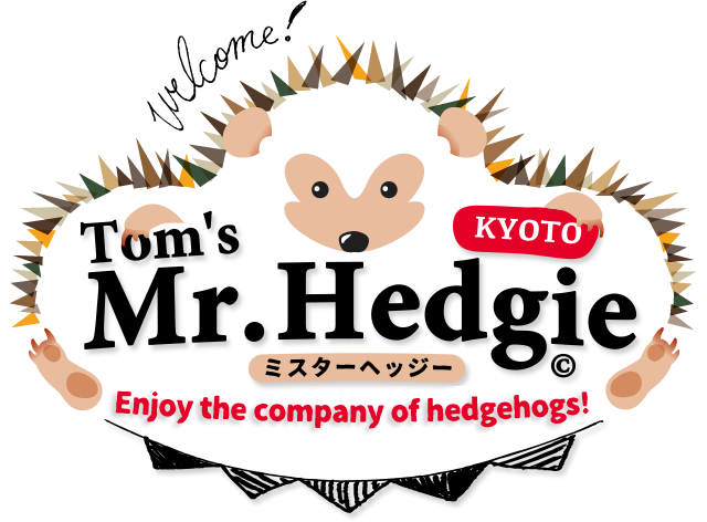 Tom's Mr.Hedgie
